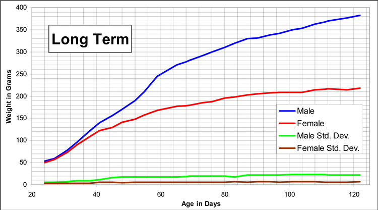 Long Term Growth Charts for Lewis Rats